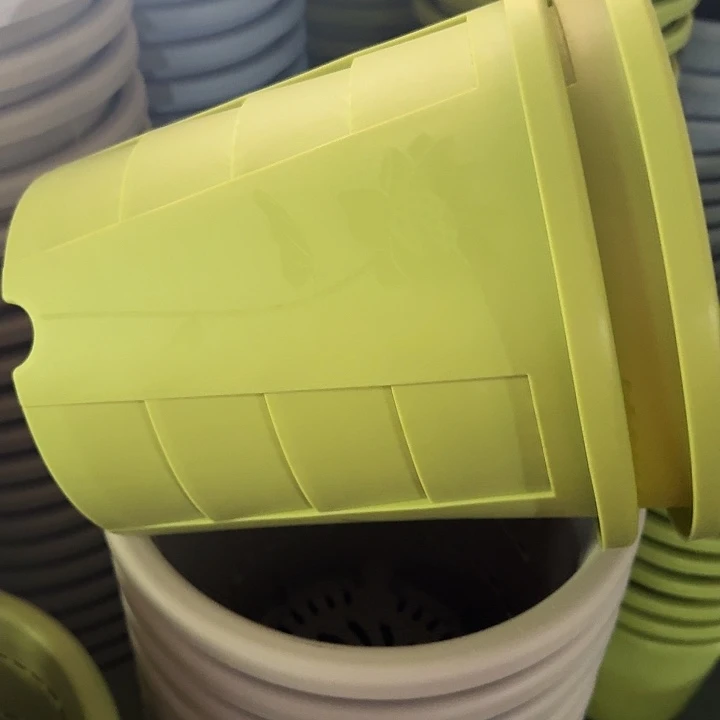 编号801果绿无托4个