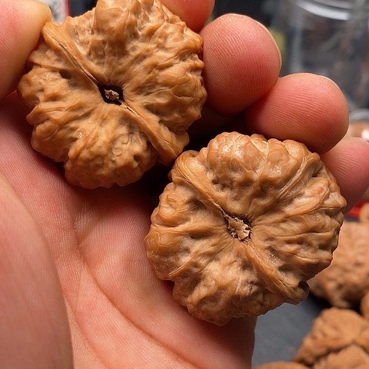 文玩核桃把件大*水蛤蟆38