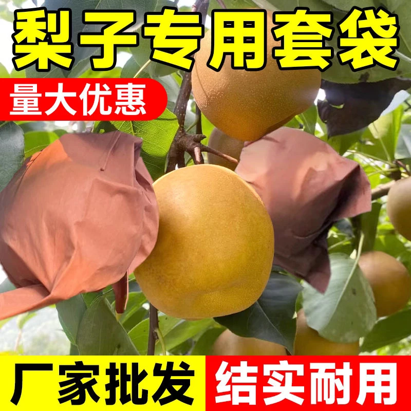 梨子专用套袋秋月梨晚秋梨黄金梨水果套袋双层内黄大蜡袋防水防虫