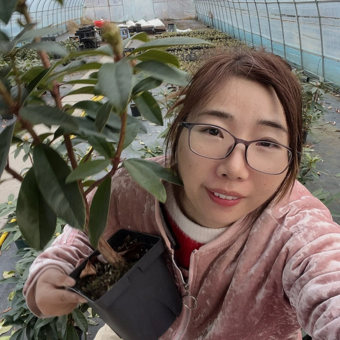 无花朵福利一加仑