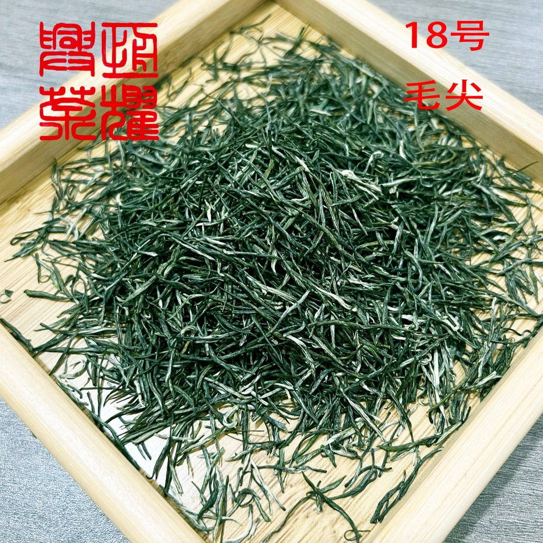 明前毛尖味鲜爽回甘高山绿茶蒙顶山源头厂家直销