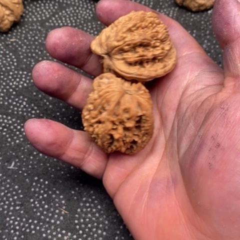 文玩核桃把件虎头3.3