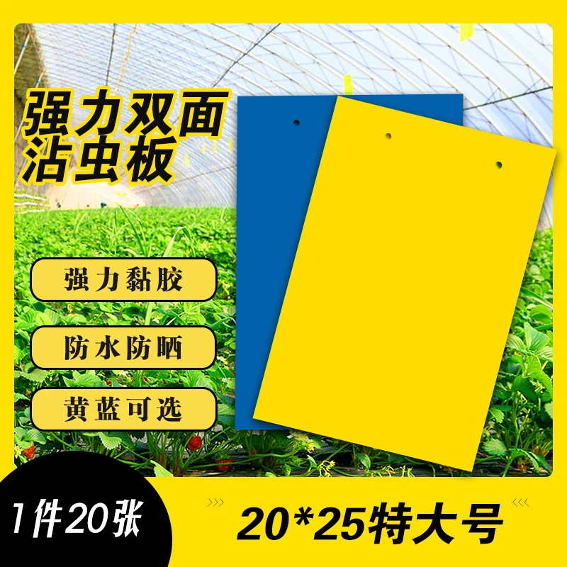 粘虫板诱虫板黄色蓝色可选大棚园艺果园灭小飞虫诱沾苍蝇蓟马双面