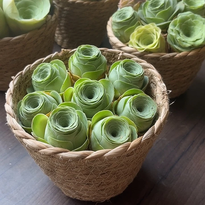 水蜜桃玫瑰8个带框