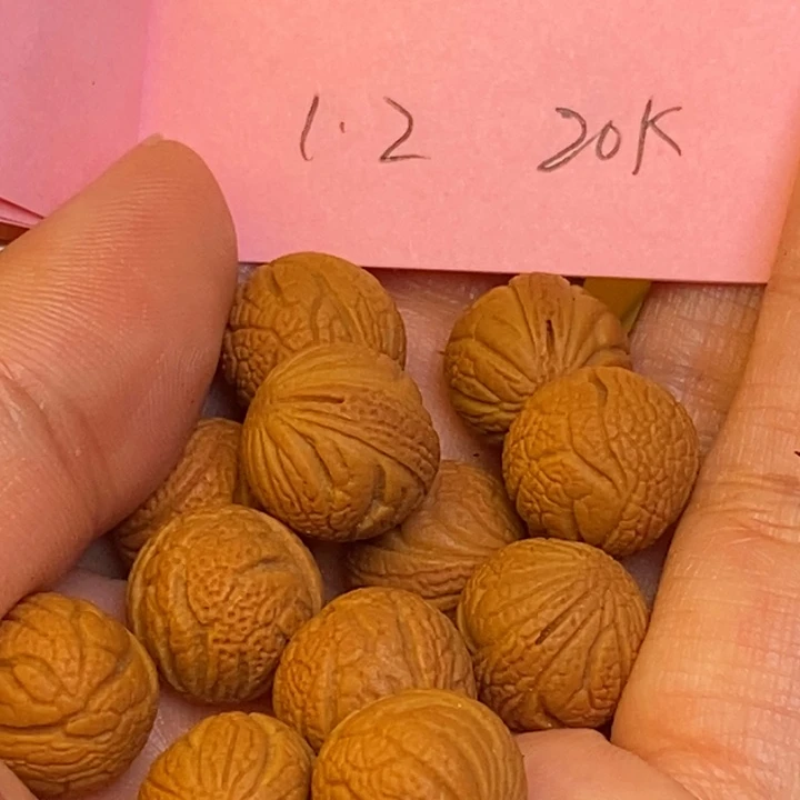 桃核吊坠秦岭龙纹桃核22