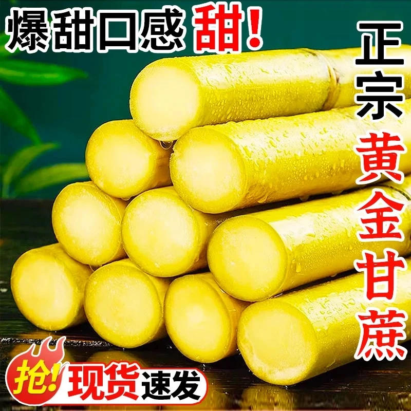 云南黄金甘蔗正宗甘蔗爆甜多汁新鲜现砍现发