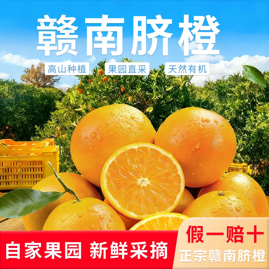 正宗赣南脐橙新鲜采摘安远县产地直发10斤/5斤赣州安远脐橙果园