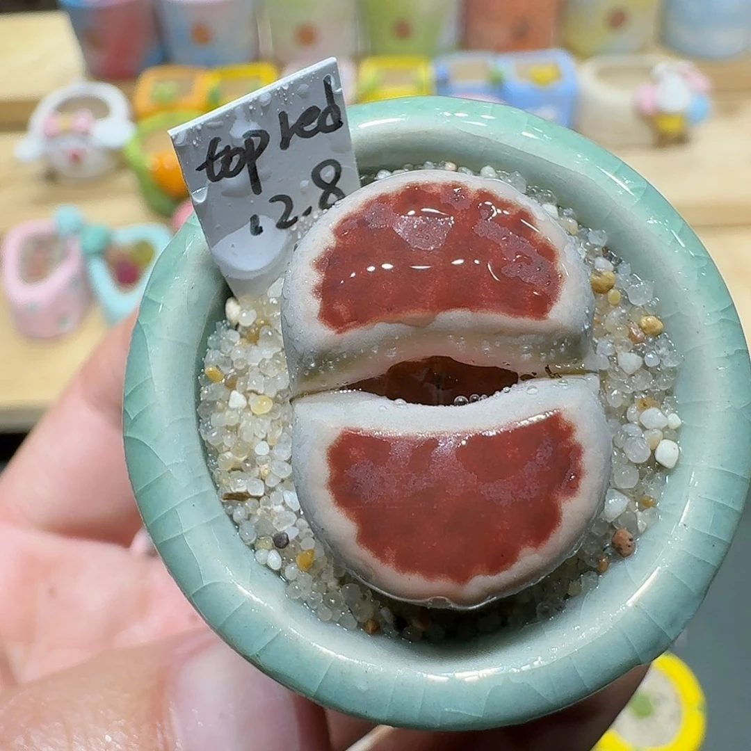 红陶蘑菇420topred