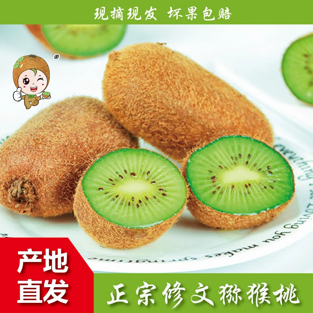 【达人专享】贵州修文猕猴桃当季新鲜水果绿心奇异果香甜非翠香徐香