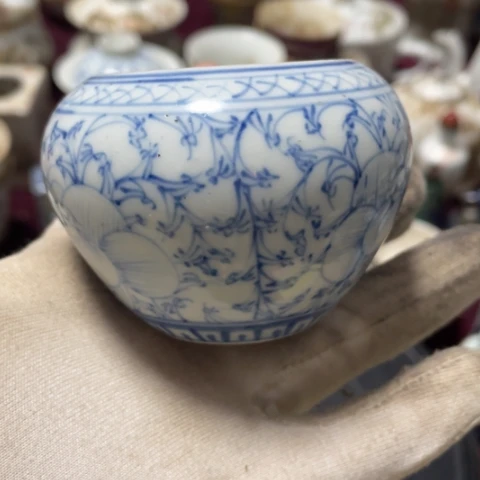 瓷片88888888888888888