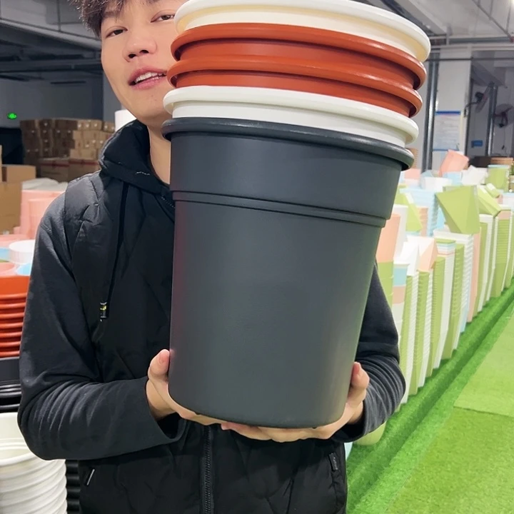 清仓翻边口27高29混色5只无托