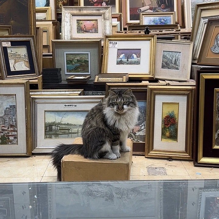 铝合金双层款ghhjiijjjjjjhggcvjj