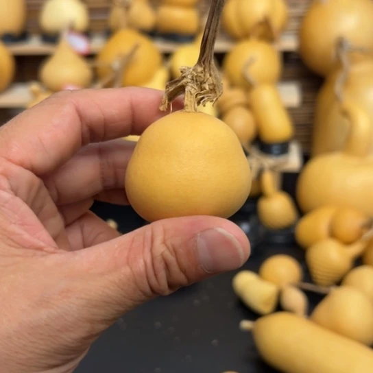 果*酱1266899998899999