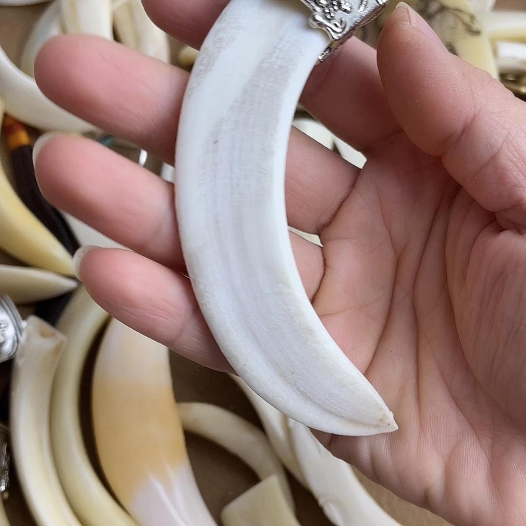 猪牙把件猪牙獠牙手把件