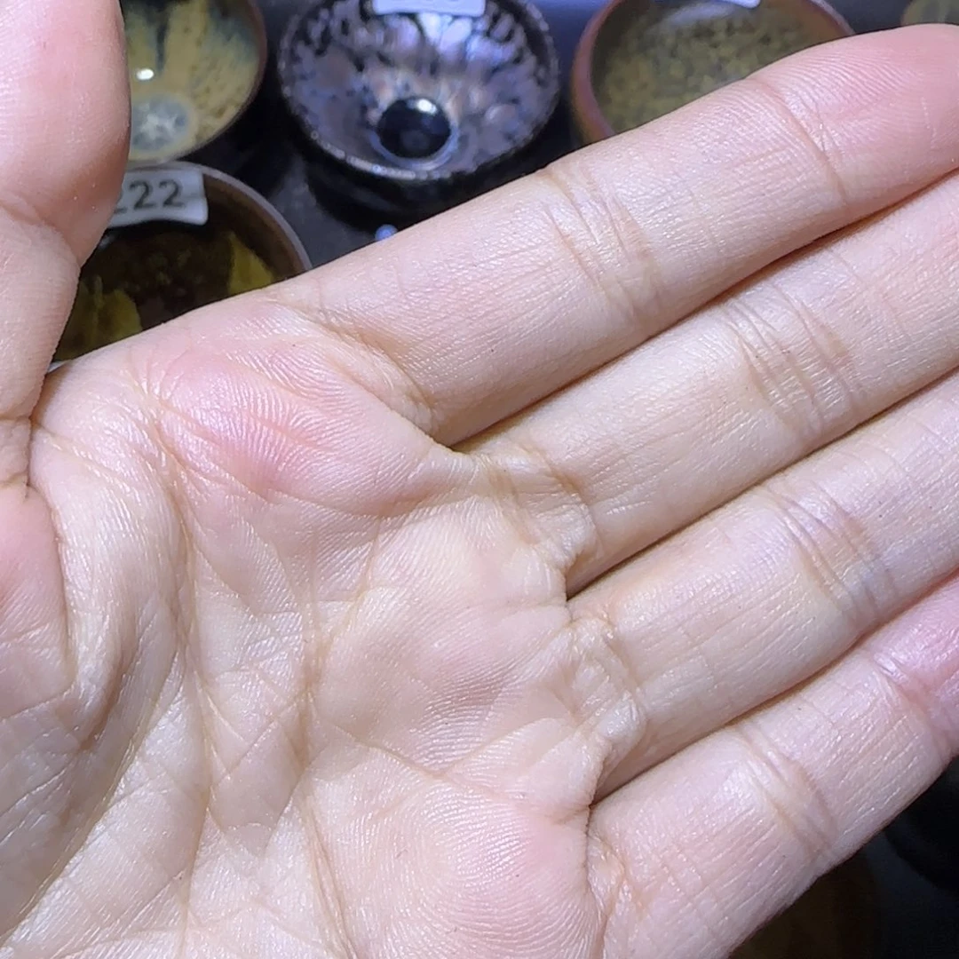 向***走茶盏福建盏茶器中