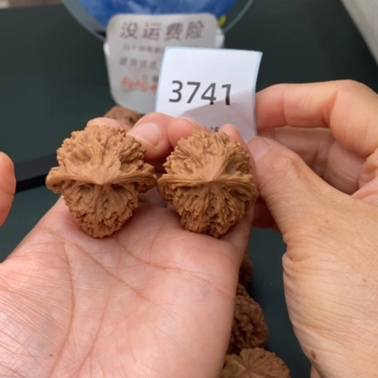 把件文玩核桃蛇头3741