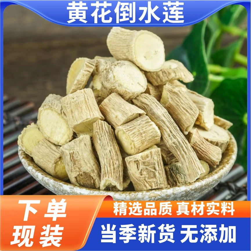 黄花倒水莲 根部广西野生新鲜干货根茎煮水喝煲汤肉