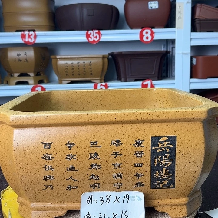 花盆紫砂你在一起