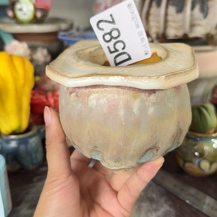 重庆小燕子欢迎大家582