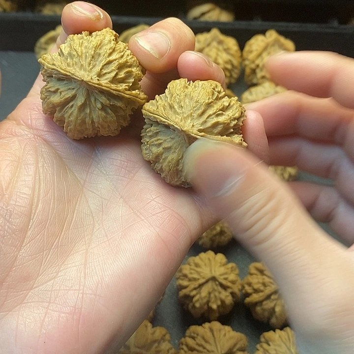 我的小姐姐们都是我的