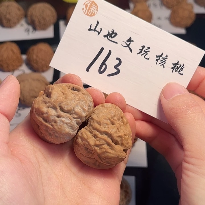 桃核把件蛤蟆40尺163号