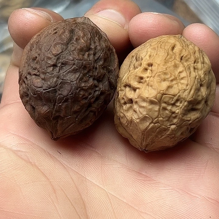 文玩核桃把件41号飞蟾37尺