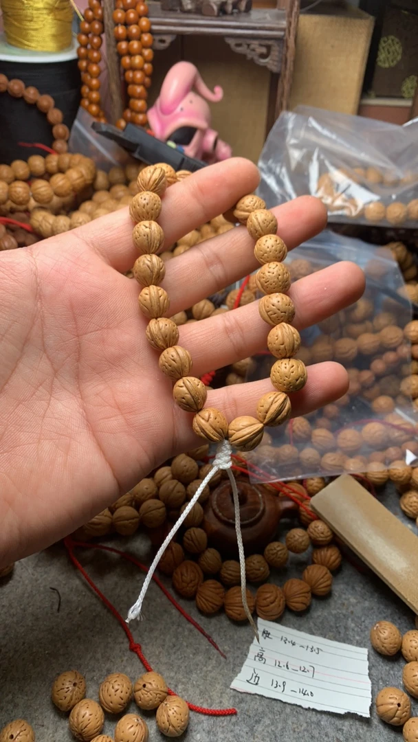 野生金豆手持一条