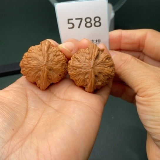 把件文玩核桃37.5全品正磨5788