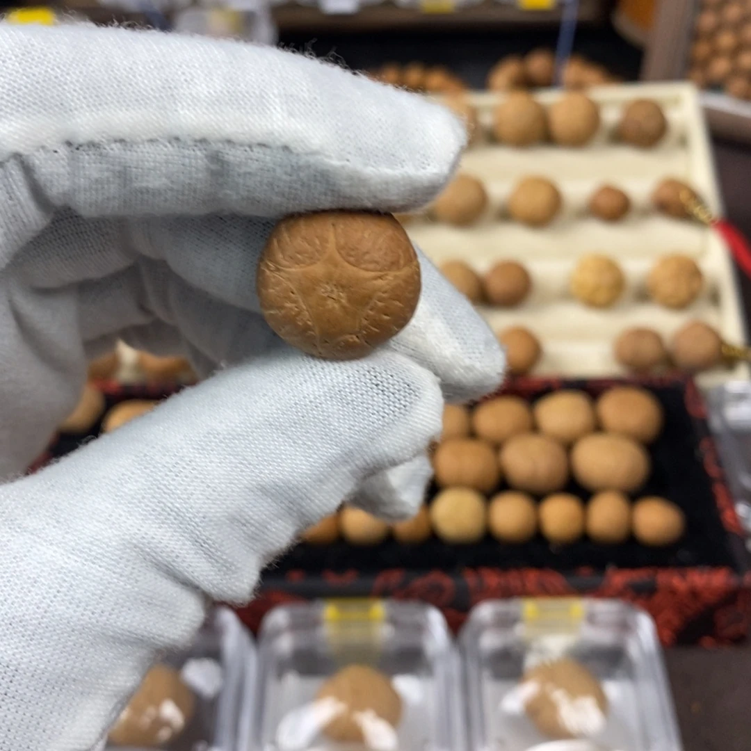 凤眼菩提吊坠18.3五星单颗