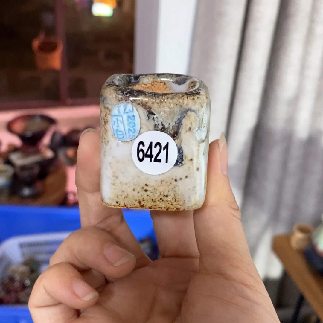 洋*拍3送一个小礼物