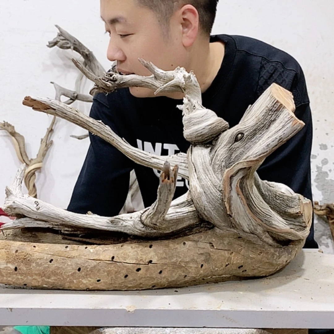 【闪购商品】柏木清**尘我们都是好孩子