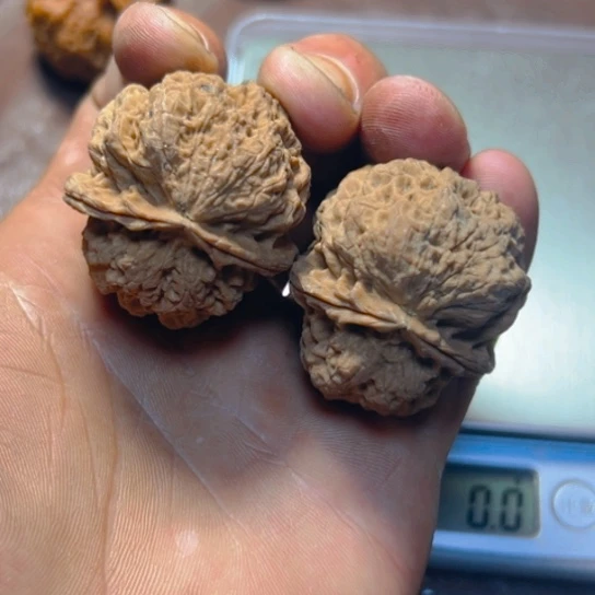 把件文玩核桃卡40大龟背14号