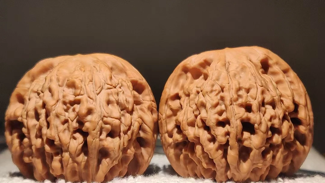 DY71核源山庄精品龍胤狮子头