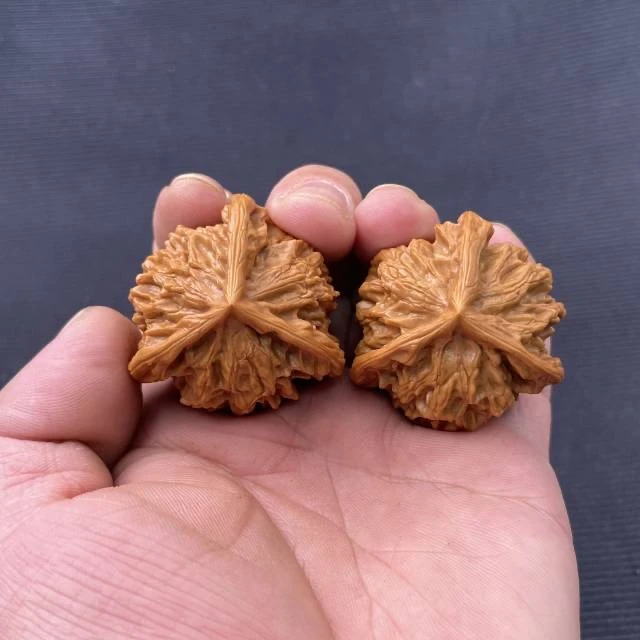 【中国涞水麻核桃协会】9 G68977-盘山三棱核桃-打底镶嵌-尺寸42mm
