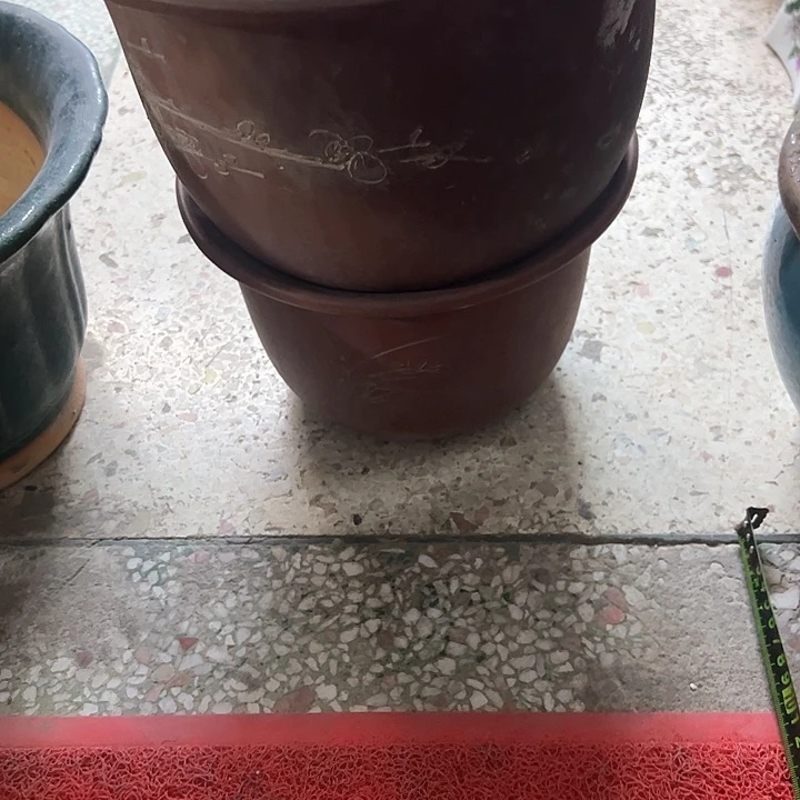 红陶第*季。。。。。。。。。。。。