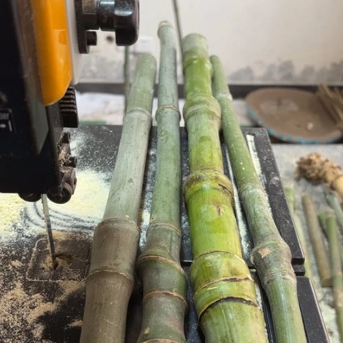 竹S**r实心竹竹竹竹竹竹竹