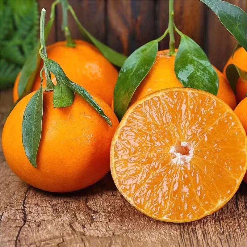 新鲜爱媛果冻橙当季橙子鲜甜水果甜橙柑橘皮薄香甜多汁现摘现发