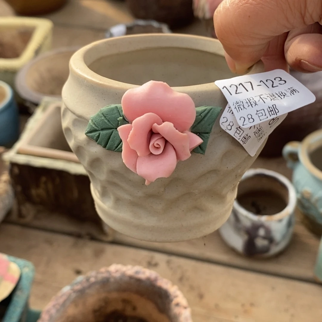 123号多肉盆口径6瑕疵