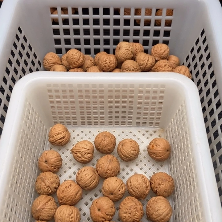 23粒定制打孔，定制商品不退不换