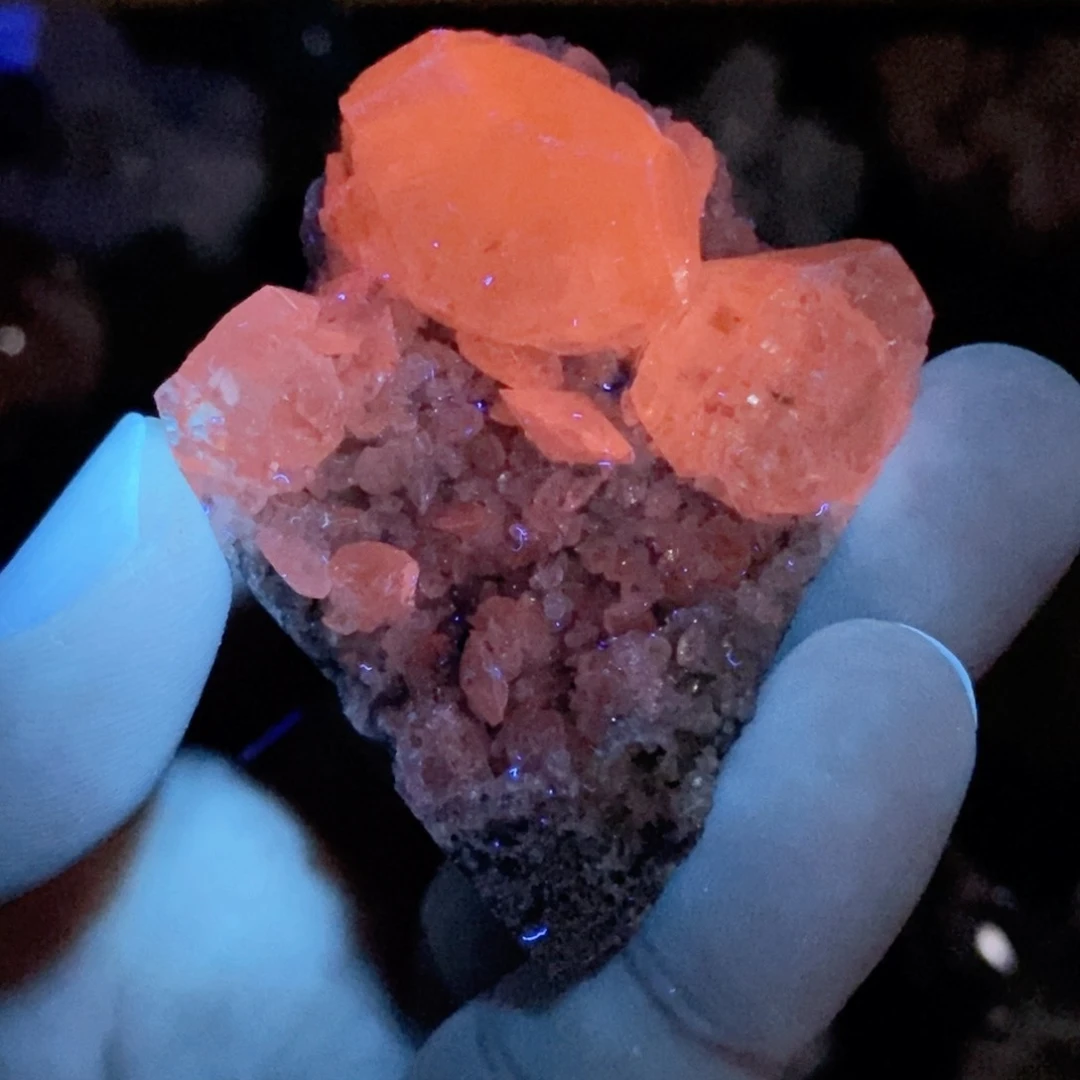 摆件摆件摆件摆件
