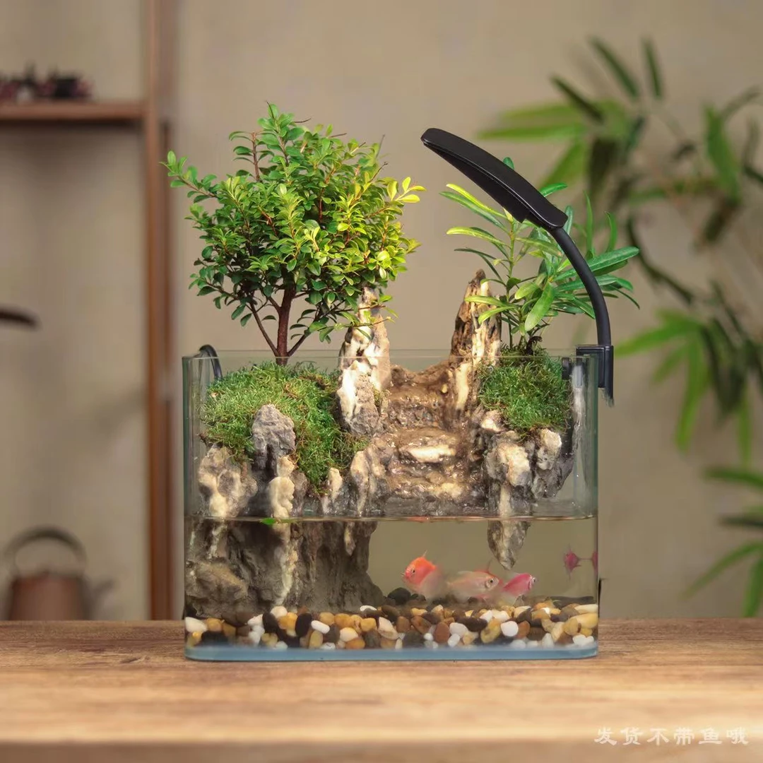 [云阶a]赤楠国风流水摆件真绿植发光鱼缸微景观25*16*18cm送外灯