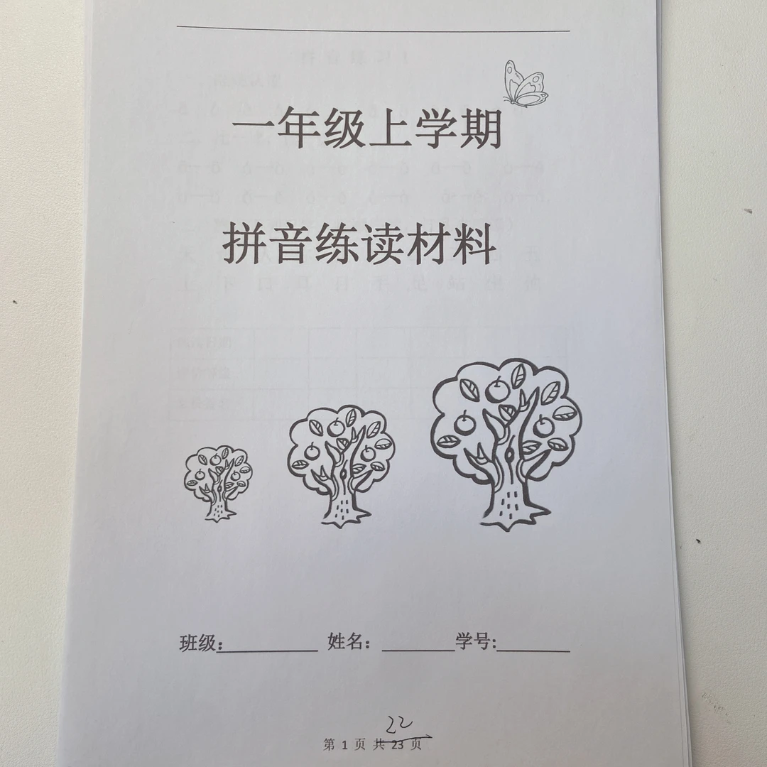 25年秋季新版一年级上册语文拼音练读资料专项练习部分带答案