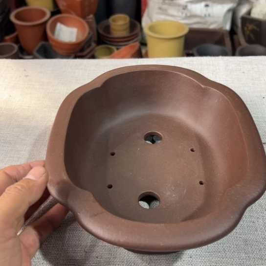 【闪购商品】21，16，5