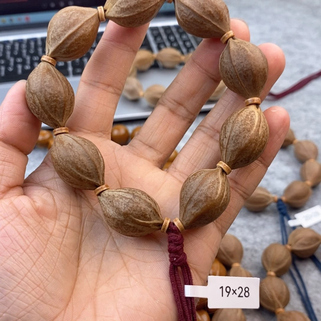 橄榄核手串/手链人19铁核鲨鱼背一物一图