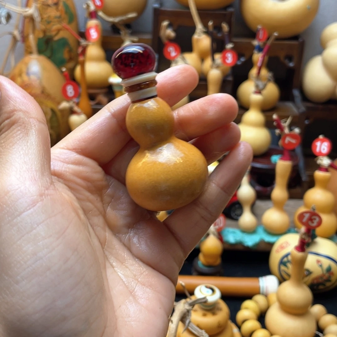 『***』大自然的秘密第十一节你是谁的