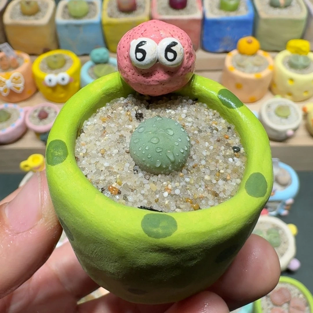 红陶蘑菇990鸽子蛋