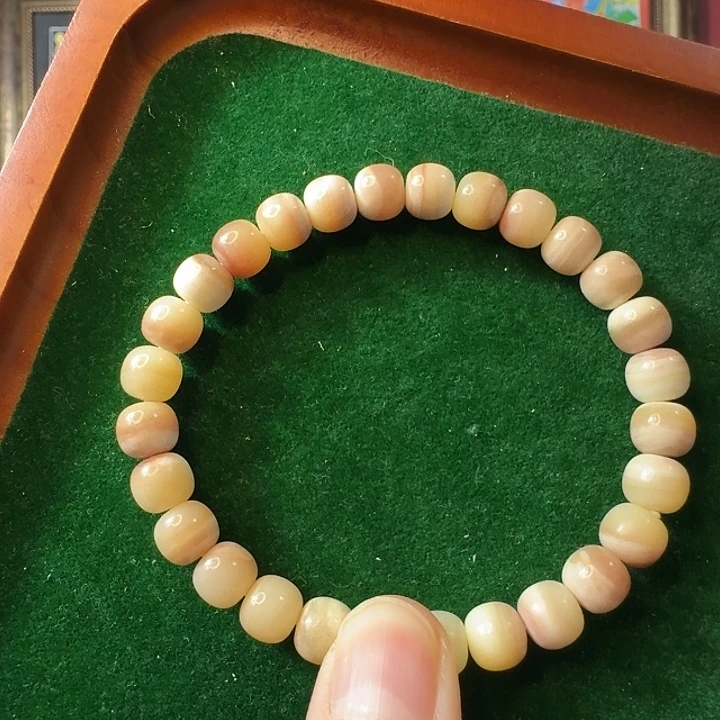 菩提根/象牙果吊坠奶盖驼骨