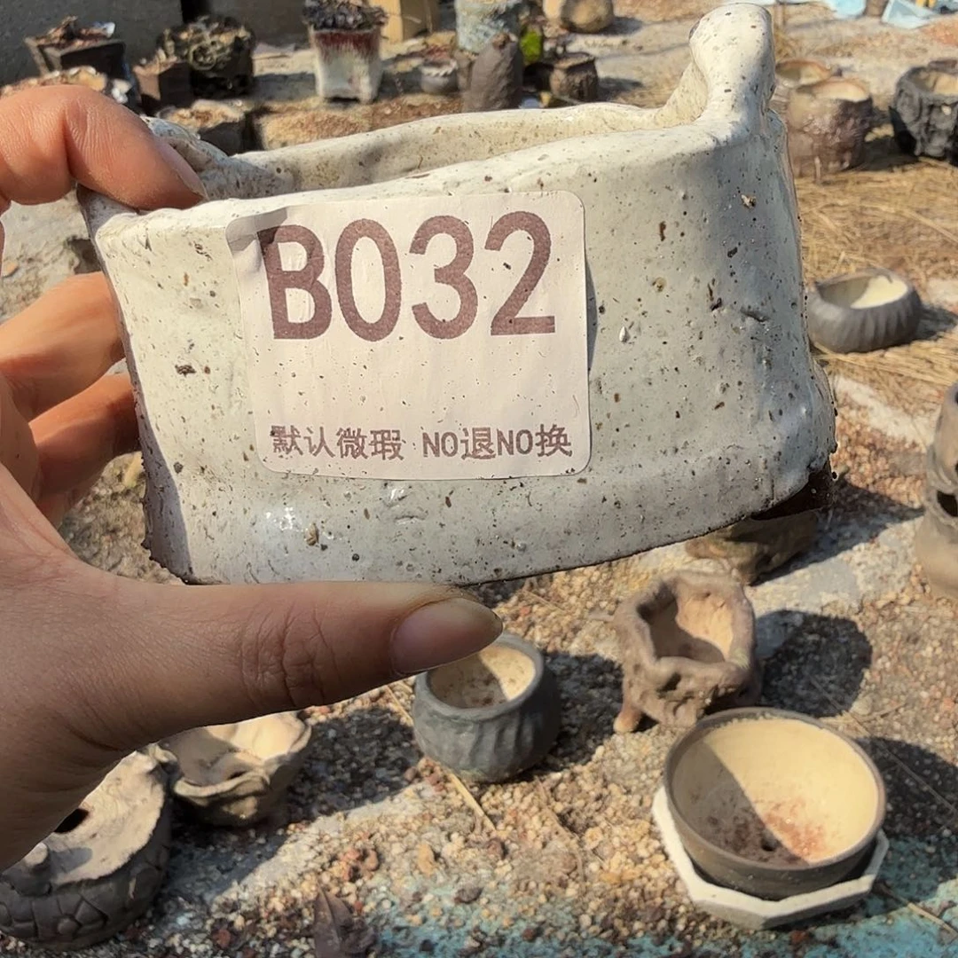 重庆小燕子欢迎大家032