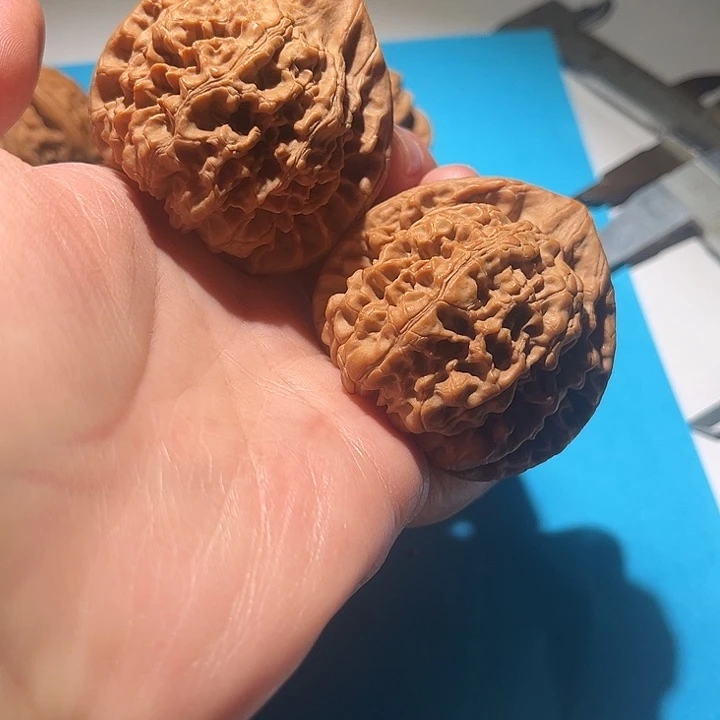 吊坠龙脊菩提官帽