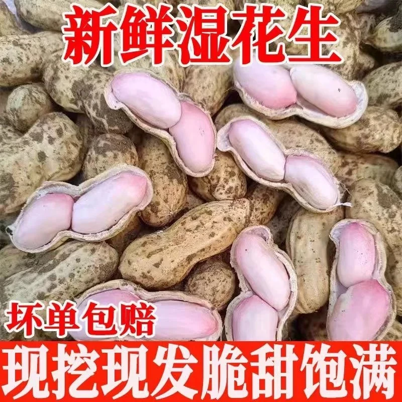 新鲜花生红皮和白皮花生现摘现发
